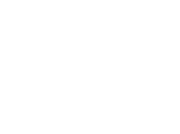 Torch Fire