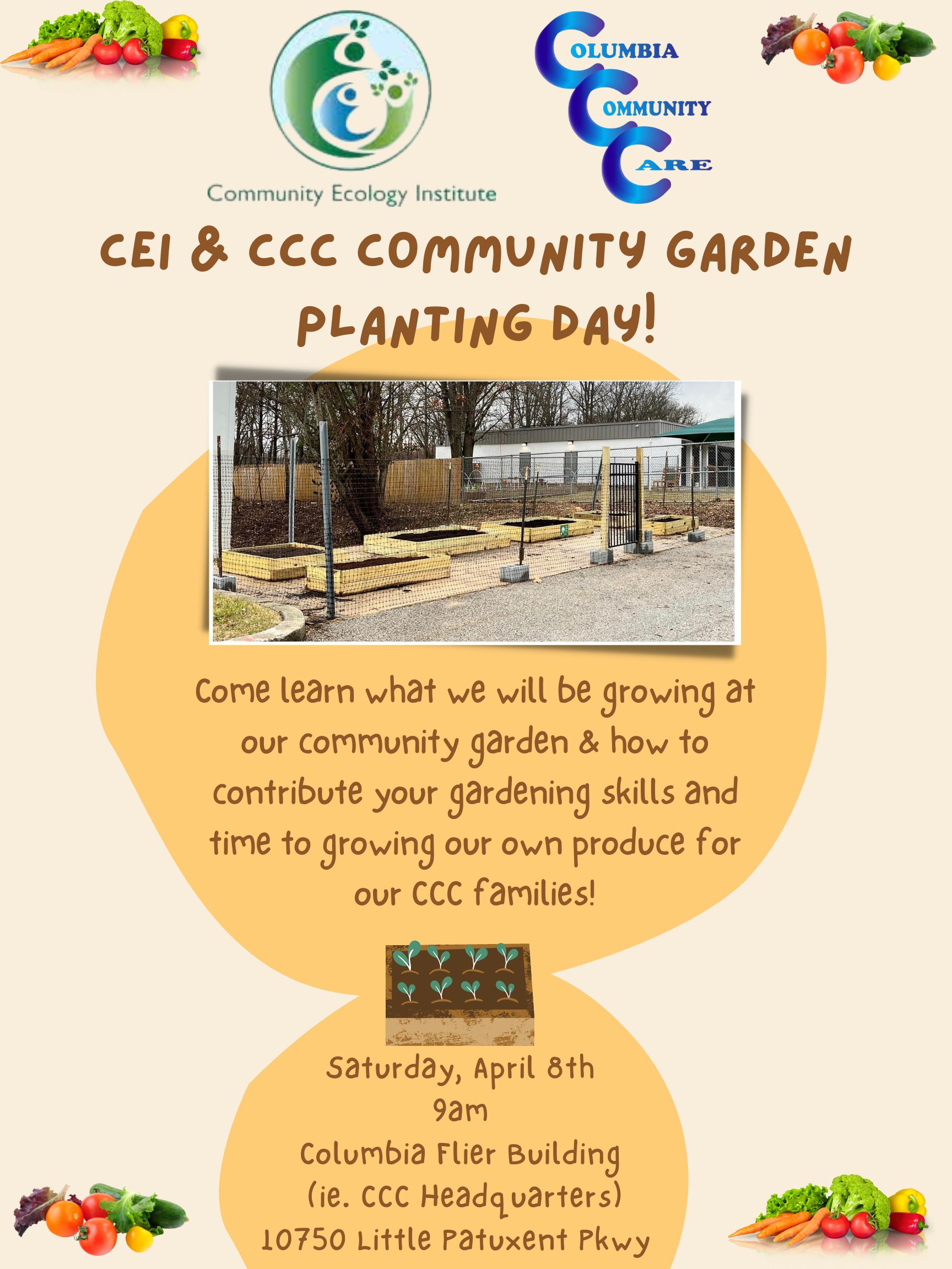 cei & ccc Community garden planting day