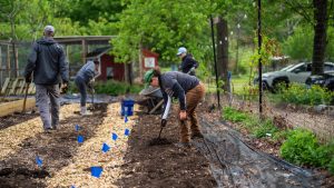 volunteers working in the CCC community garden